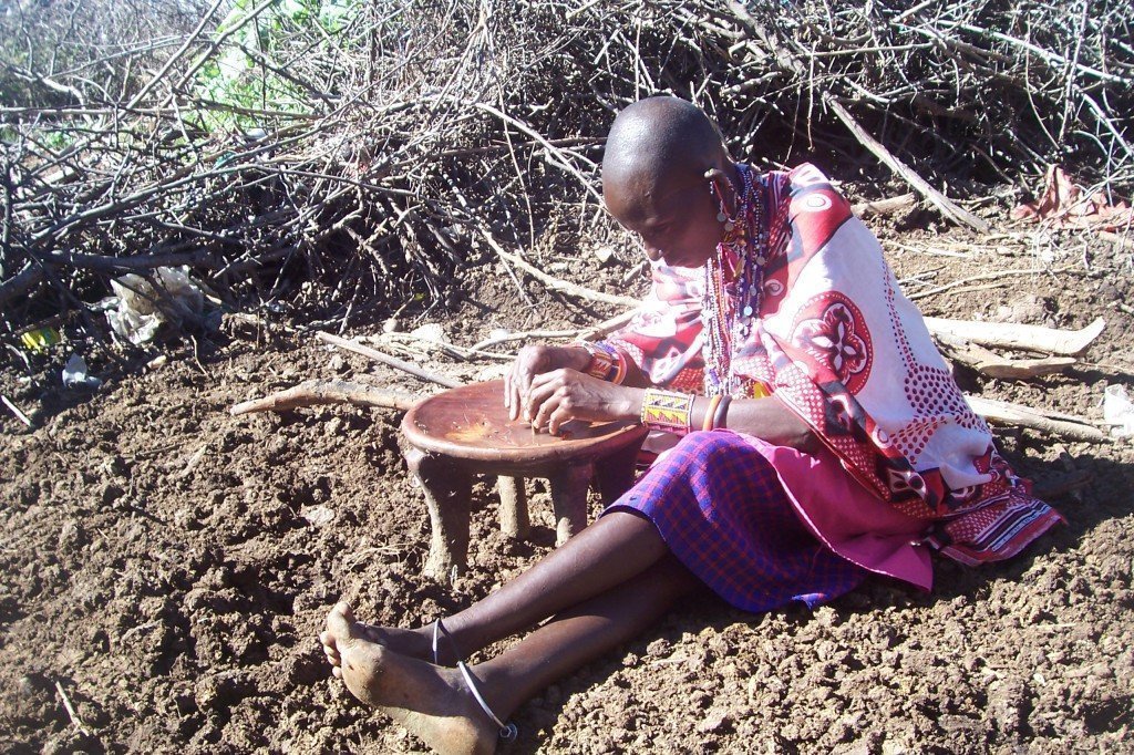 Le piante medicinali tradizionali stanno diventando sempre più importanti nei sistemi sanitari primari dei paesi in via di sviluppo. L'OMS stima che l'80% della popolazione in Africa fa ricorso alla Medicina Tradizionale. Nell'Africa Sub-Sahariana, il rapporto tra guaritori tradizionali e popolazione è di 1 a 500, mentre quello tra medici "convenzionali" e popolazione è di 1 a 40.000. Ciò suggerisce che gli operatori tradizionali si sono silenziosamente presi in carico il peso di mantenere in salute queste comunità. Sebbene i Governi africani e le organizzazioni internazionali in precedenza avessero pochi contatti con i praticanti di medicina tradizionale, le crisi sanitarie hanno alimentato la necessità di unire i trattamenti occidentali e tradizionali. Gli sforzi si sono concentrati per ricollegare le comunità con i guaritori tradizionali e per favorire un accesso equo e la condivisione dei benefici delle piante medicinali.