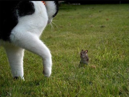courage