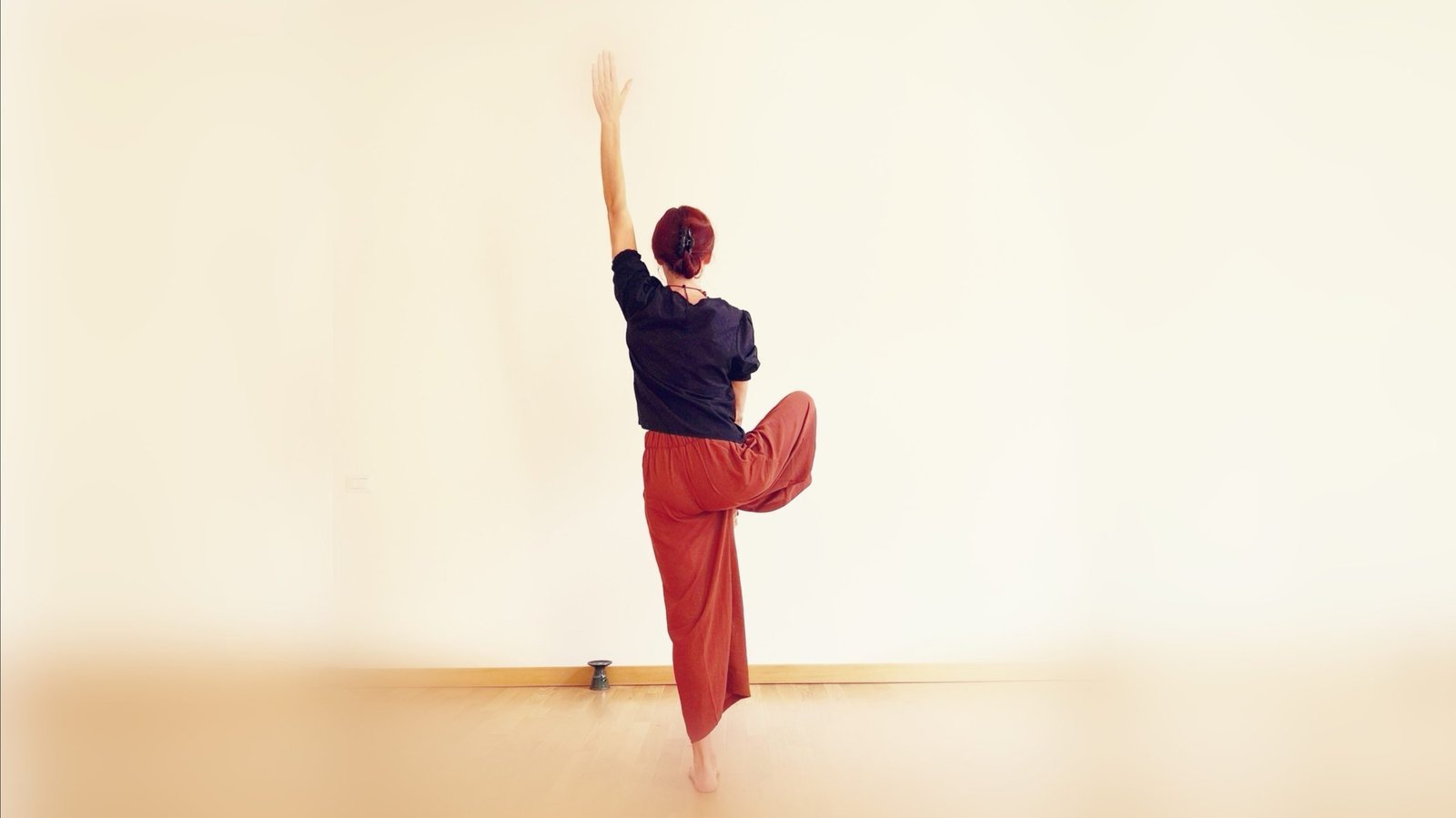 Yogasana 2: anatomia biomeccanica terapia