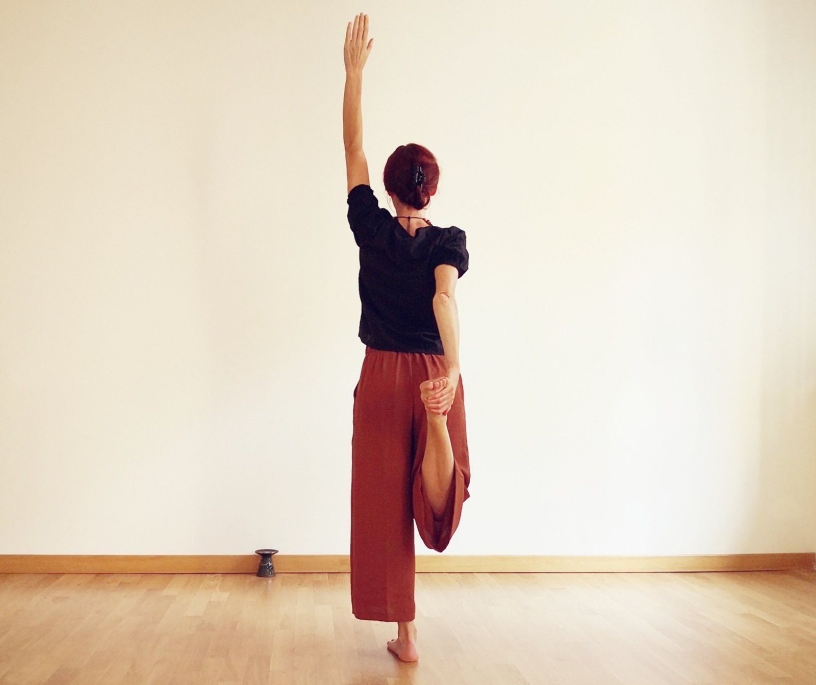Yogasana 1: Anatomia biomeccanica Terapia